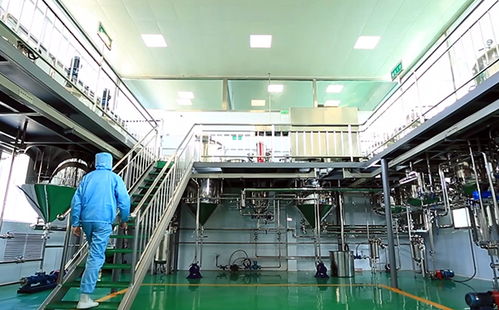 長(zhǎng)治高新區(qū) 新品精品名品優(yōu)品 鑫百味老樹核桃油